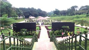 Wisata Taman Hutan KP3B, Di Kawasan Pemprov Banten