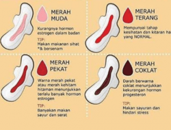 Makna Darah Haid Dibalik Kesehatan Wanita