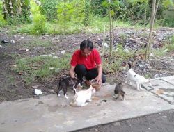 Berkat Menyelamatkan Kucing, Saya Selalu Dimurahkan Rezeki Hingga Kaya Raya