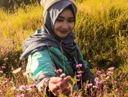 Jangan Sibuk-sibuk Mencari Penilaian Manusia, Sungguh Penilaiannya Hanya Akan Membuatmu lelah