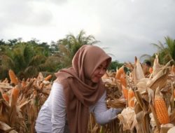 Tidak Apa-apa Sering Dijelek-jelekkan, Karena yang Menjelekkanmu Akan Dijelek-jelekkan Juga Pada Waktunya