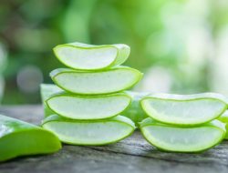 Ini 8 Manfaat Lidah Buaya Bagi Tubuh dan Kulit