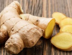 Wanita Harus Tahu 5 Manfaat Besar Dari Kencur