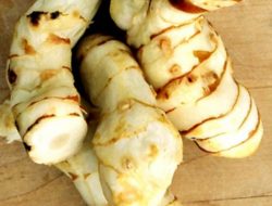 Ini 3 Manfaat Besar Lengkuas Untuk Kesehatan