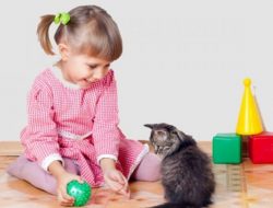 4 Manfaat Menakjubkan Memelihara Kucing, Khususnya Untuk Anak Kecil