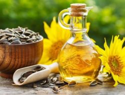 Wow! Minyak Bunga Matahari Punya 5 Manfaat Untuk Kecantikan Wanita