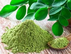 4 Masalah Kulit Ini Ternyata Bisa Diatasi Dengan Daun Kelor