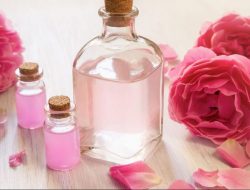 Cantik dan Sehat Dengan Memanfaatkan Bunga Mawar, Ini 5 Manfaat yang Harus Kamu Tahu