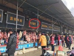 Lockdown Dicabut, Pasar Wuhan Kembali Jual Daging Kelelawar dan Hewan Liar Lainnya