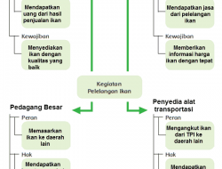 Aktivitas Pelelangan Ikan