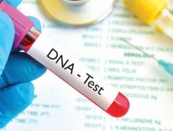 Cari tahu yuk, 7 Manfaat dan Biaya Tes DNA